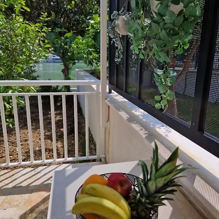 Nika Daire Dubrovnik